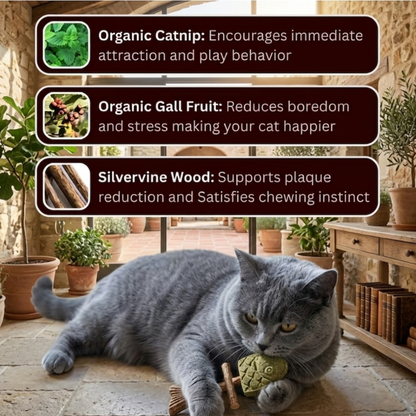 NordToyLab™ Tri-Natural Cat Toy